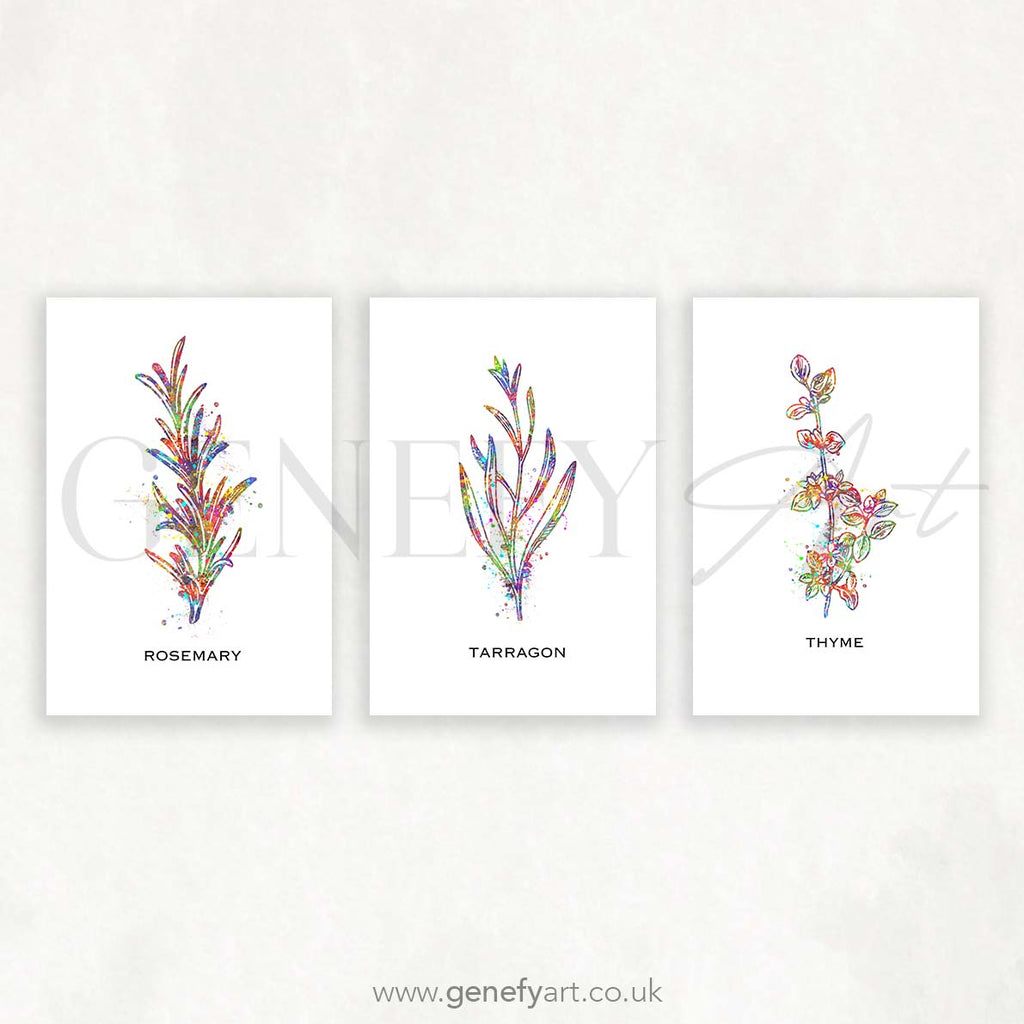 Herbs Watercolour Print - Rosemary Tarragon Thyme Art - Set of 3 - Genefy Art
