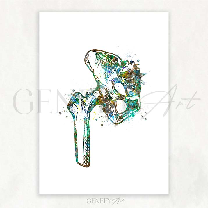 Hip Bone Anatomy Watercolour Print