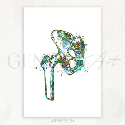 Hip Bone Anatomy Watercolour Print