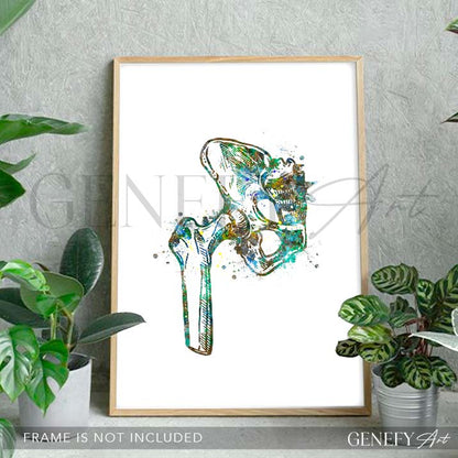 Hip Bone Anatomy Watercolour Print