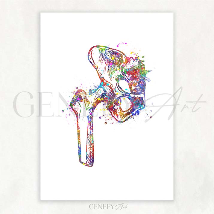 Hip Bone Anatomy Watercolour Print