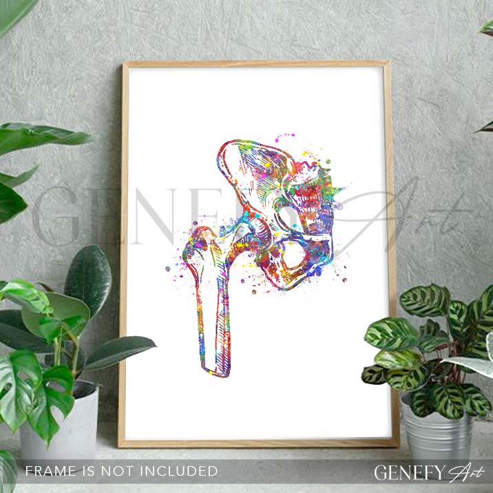 Hip Bone Anatomy Watercolour Print