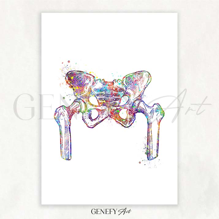 Hip Bone Anatomy Watercolour Print - Genefy Art