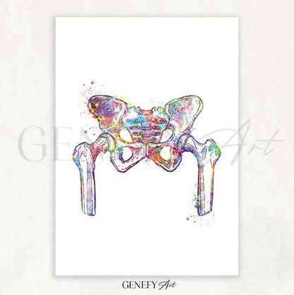 Hip Bone Anatomy Watercolour Print - Genefy Art