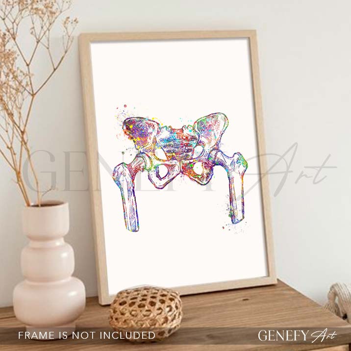 Hip Bone Anatomy Watercolour Print - Genefy Art