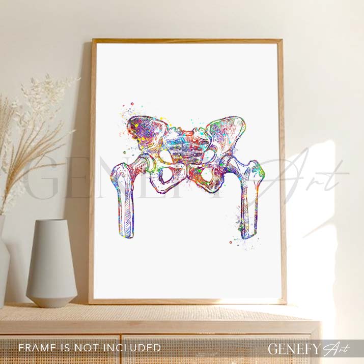 Hip Bone Anatomy Watercolour Print - Genefy Art