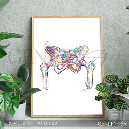 Hip Bone Anatomy Watercolour Print - Genefy Art