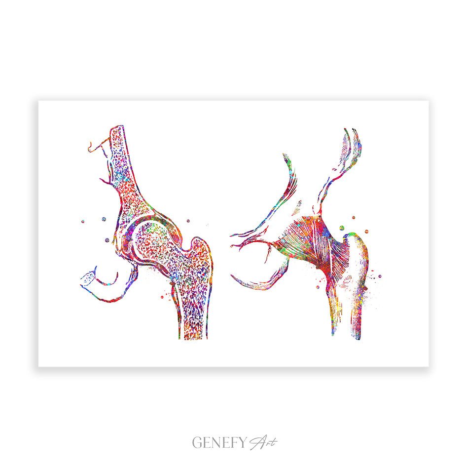 Hip Joint Bone Anatomy Watercolour Print