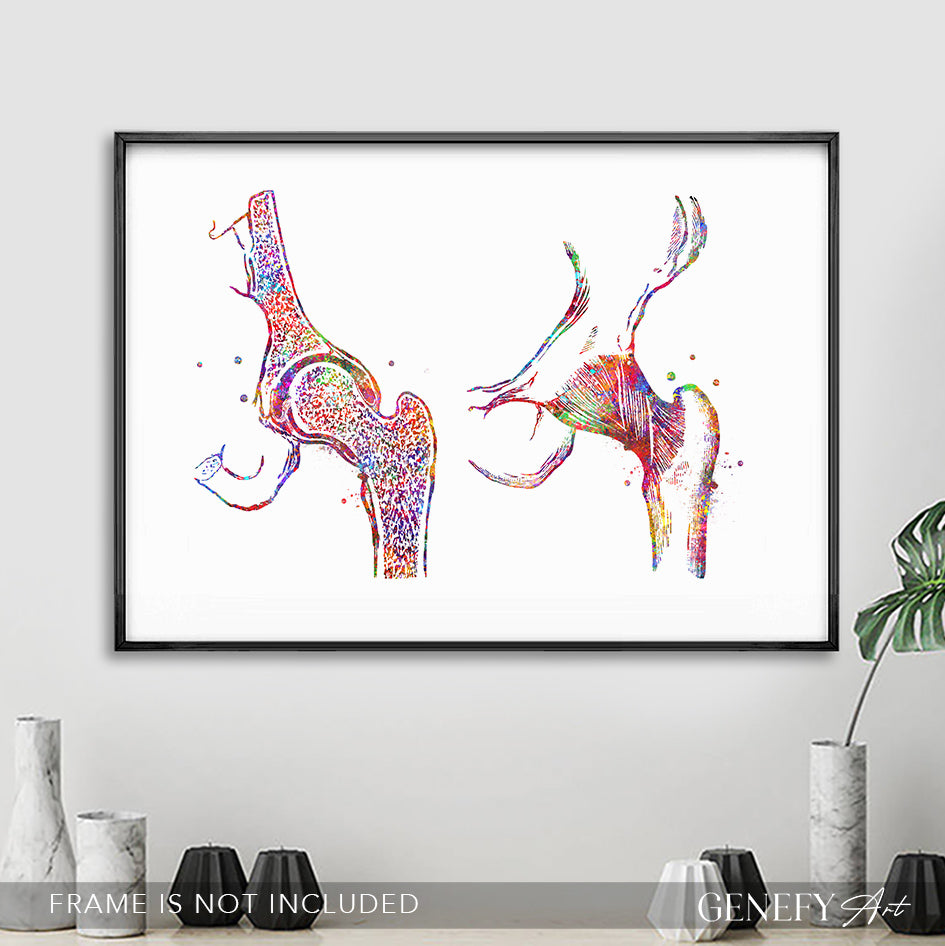 Hip Joint Bone Anatomy Watercolour Print
