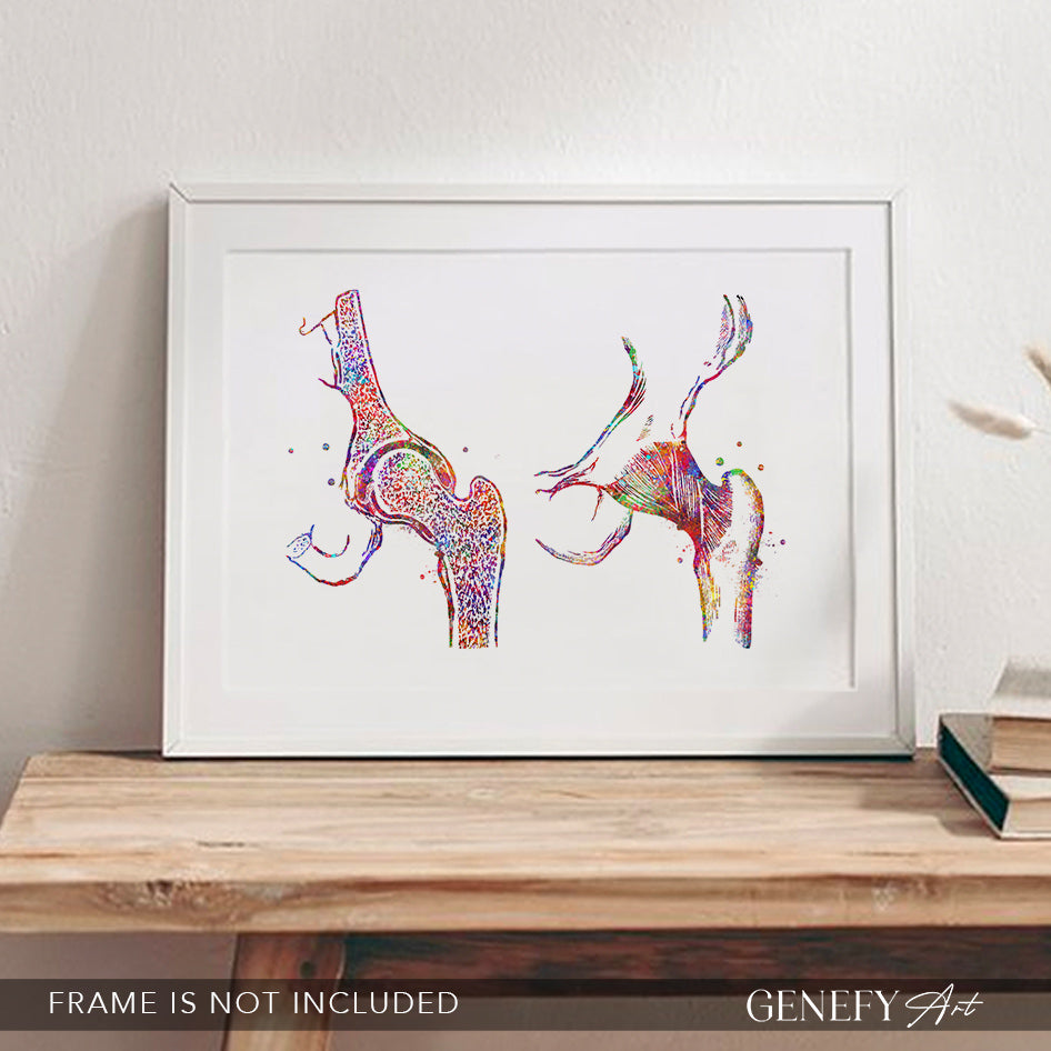 Hip Joint Bone Anatomy Watercolour Print