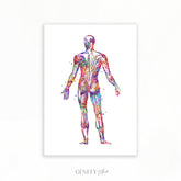 Human Back Muscles Anatomy Watercolour Print
