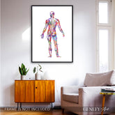 Human Back Muscles Anatomy Watercolour Print