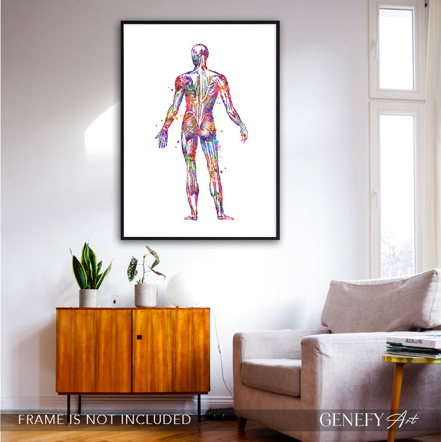 Human Back Muscles Anatomy Watercolour Print