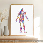 Human Back Muscles Anatomy Watercolour Print