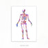 Human Skeletal System Anatomy Watercolour Print