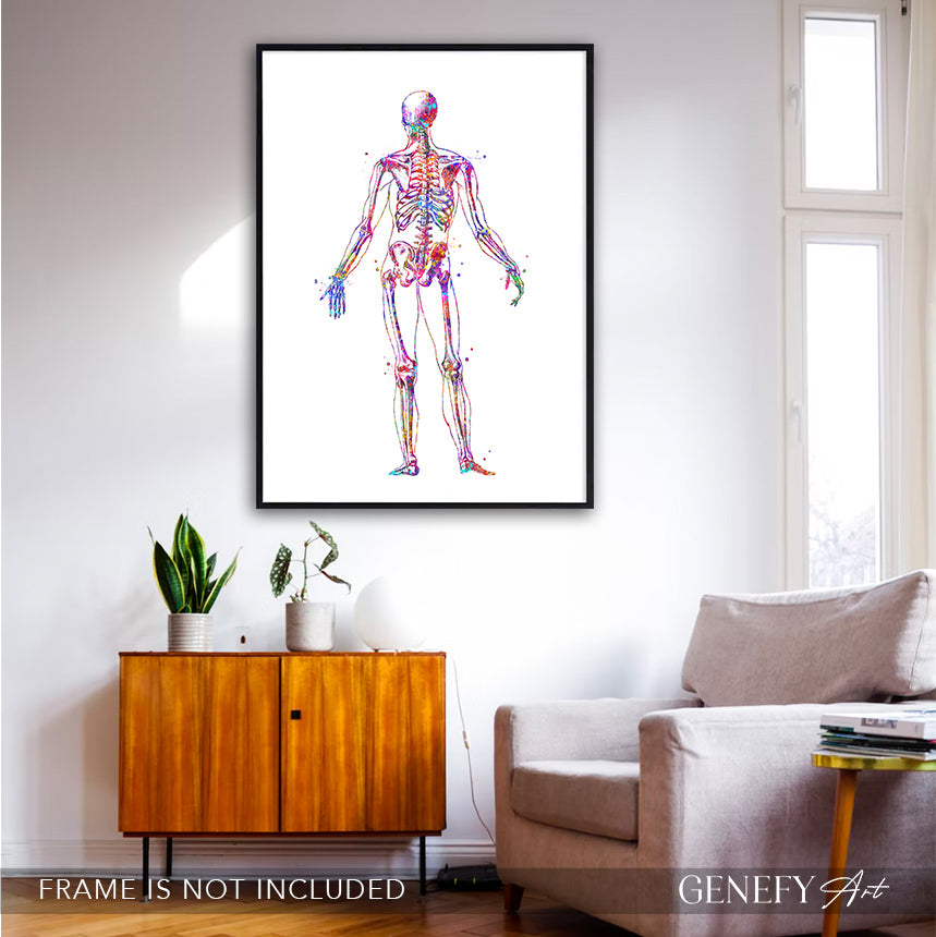 Human Skeletal System Anatomy Watercolour Print