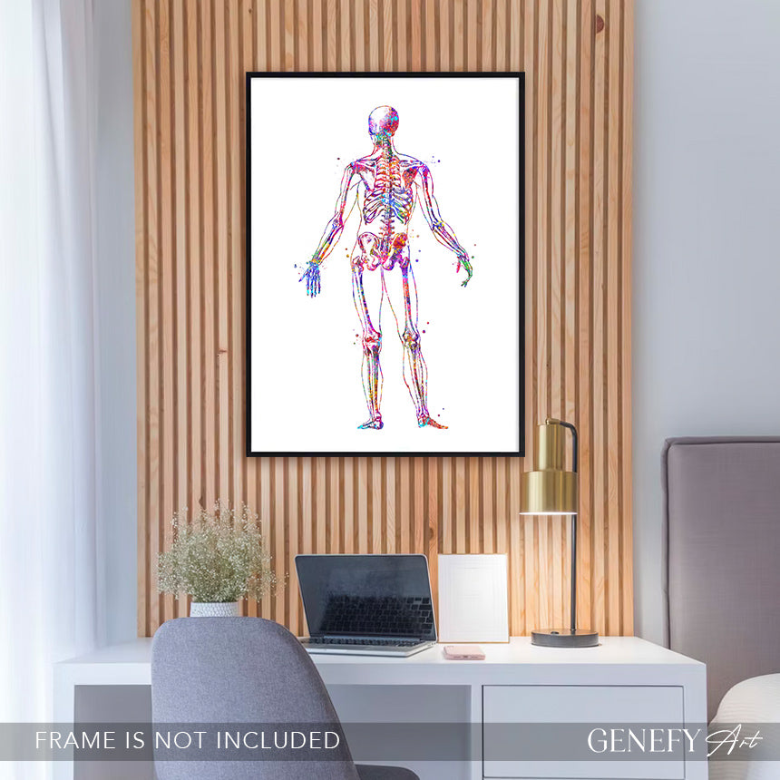 Human Skeletal System Anatomy Watercolour Print