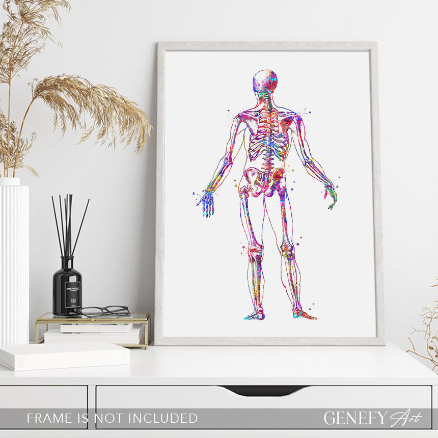 Human Skeletal System Anatomy Watercolour Print