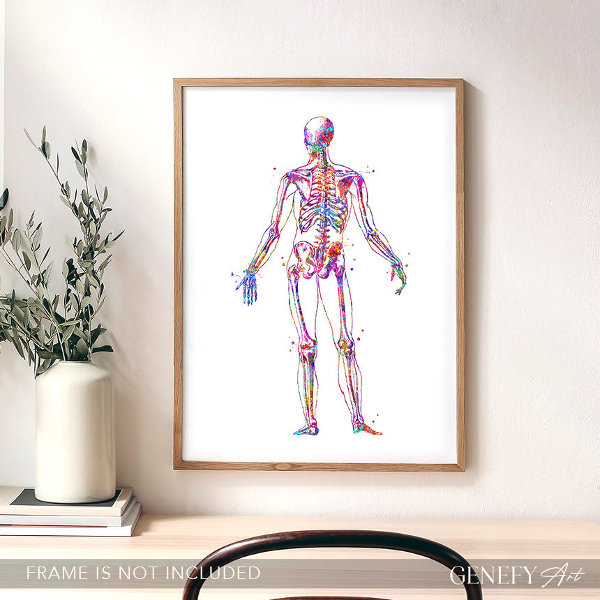 Human Skeletal System Anatomy Watercolour Print