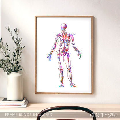 Human Skeletal System Anatomy Watercolour Print