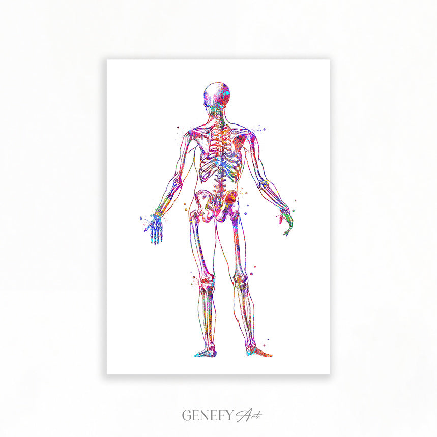 Human Skeletal System Anatomy Watercolour Print