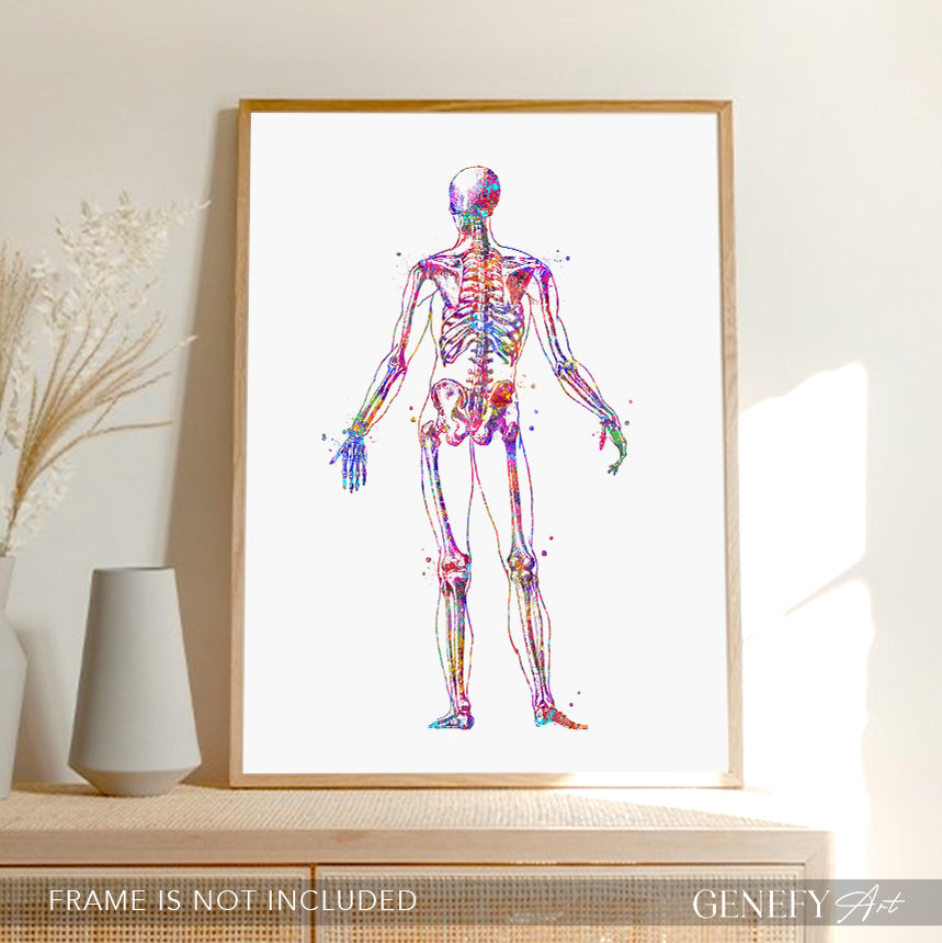 Human Skeletal System Anatomy Watercolour Print