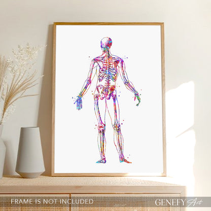 Human Skeletal System Anatomy Watercolour Print