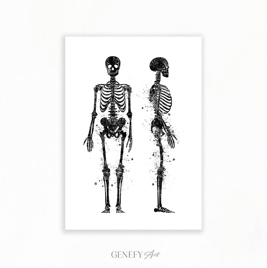 Human Skeletal System Anatomy Black and White Watercolour Print