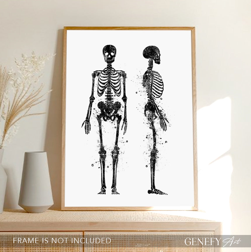 Human Skeletal System Anatomy Black and White Watercolour Print