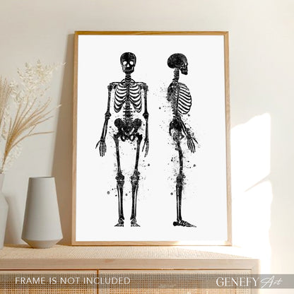 Human Skeletal System Anatomy Black and White Watercolour Print