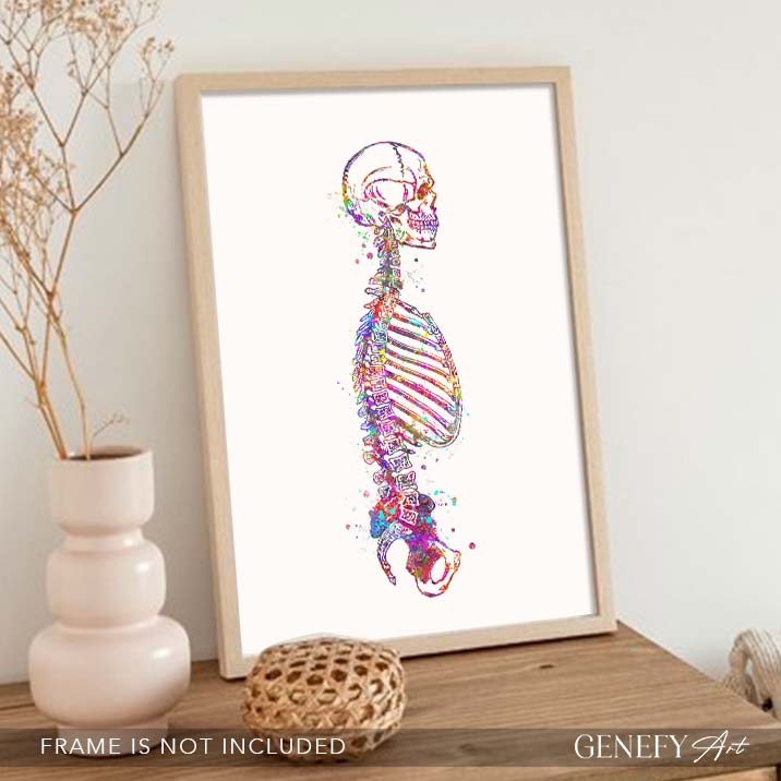 Human Skeletal System Sideview Anatomy Watercolour Print