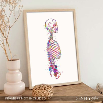 Human Skeletal System Sideview Anatomy Watercolour Print