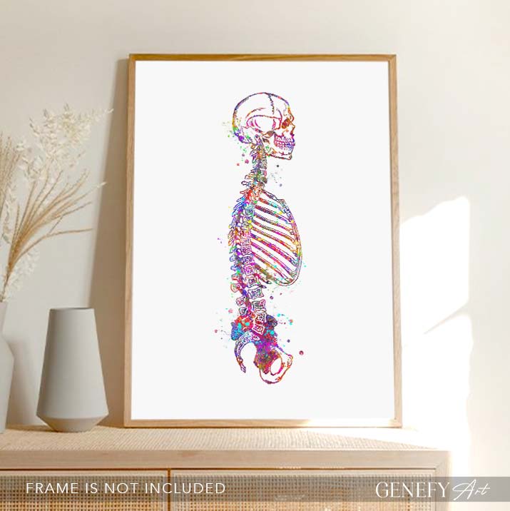Human Skeletal System Sideview Anatomy Watercolour Print
