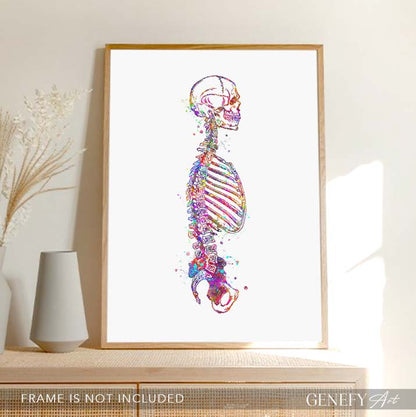 Human Skeletal System Sideview Anatomy Watercolour Print