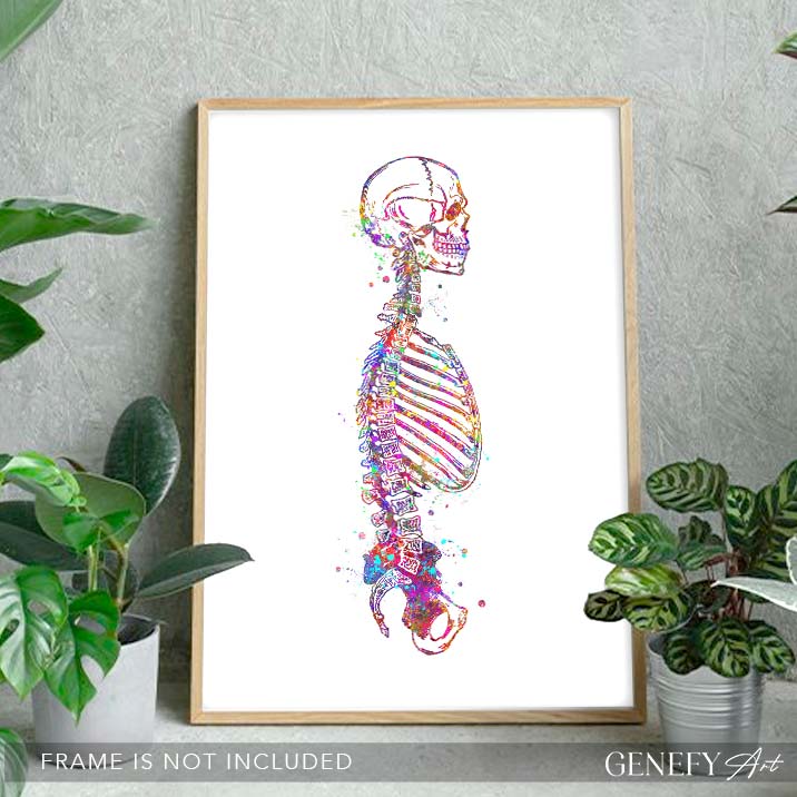 Human Skeletal System Sideview Anatomy Watercolour Print