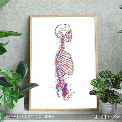 Human Skeletal System Sideview Anatomy Watercolour Print