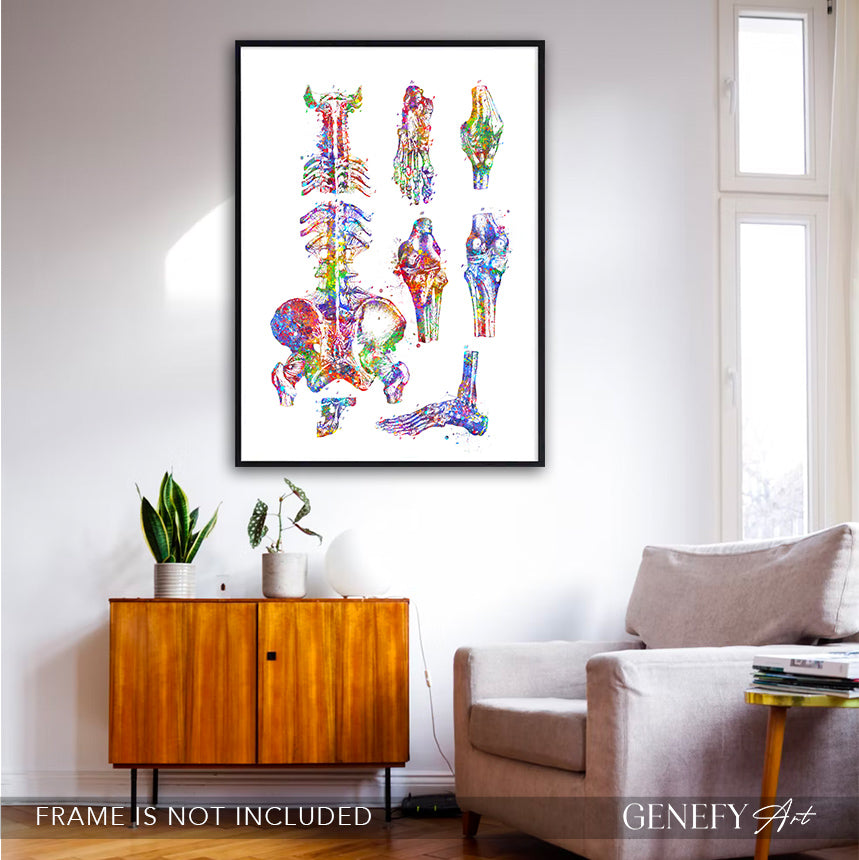 Human Main Bones Anatomy Watercolour Print