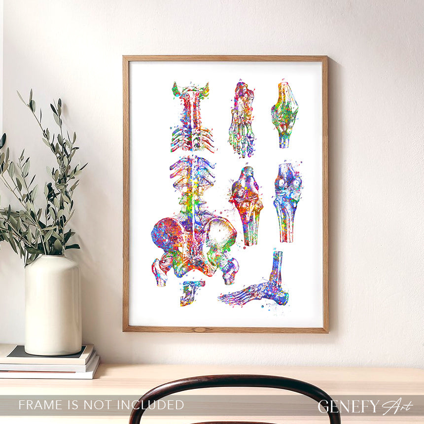 Human Main Bones Anatomy Watercolour Print