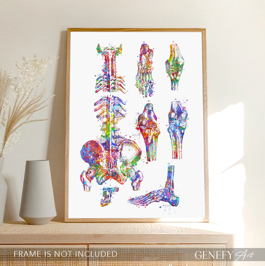 Human Main Bones Anatomy Watercolour Print
