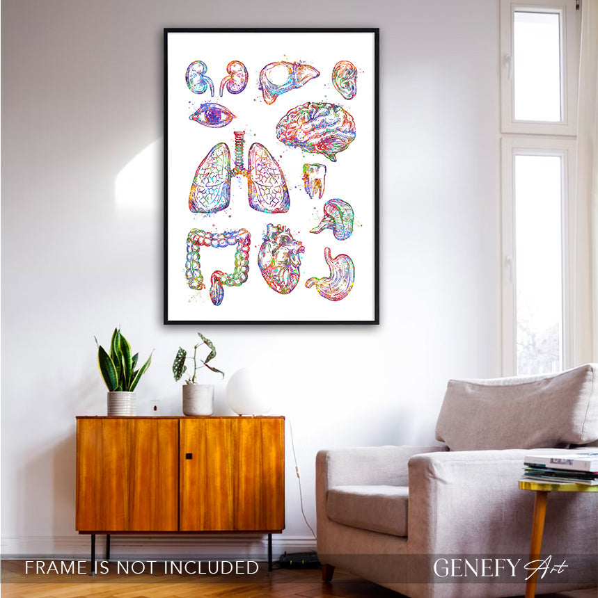 Human Organs Anatomy Watercolour Print