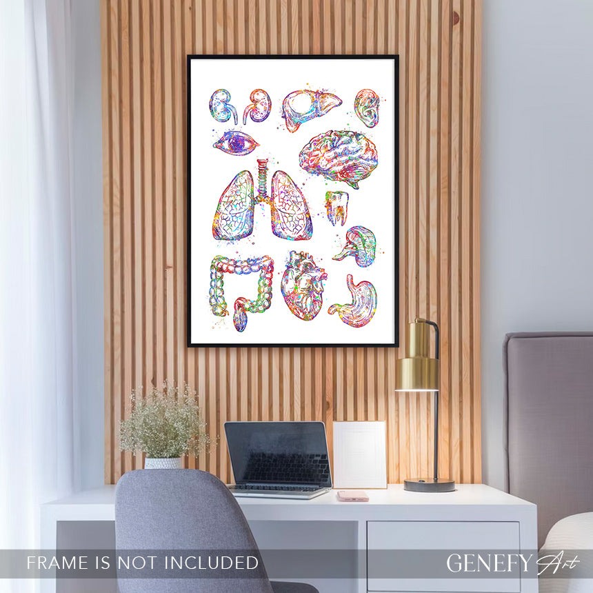 Human Organs Anatomy Watercolour Print