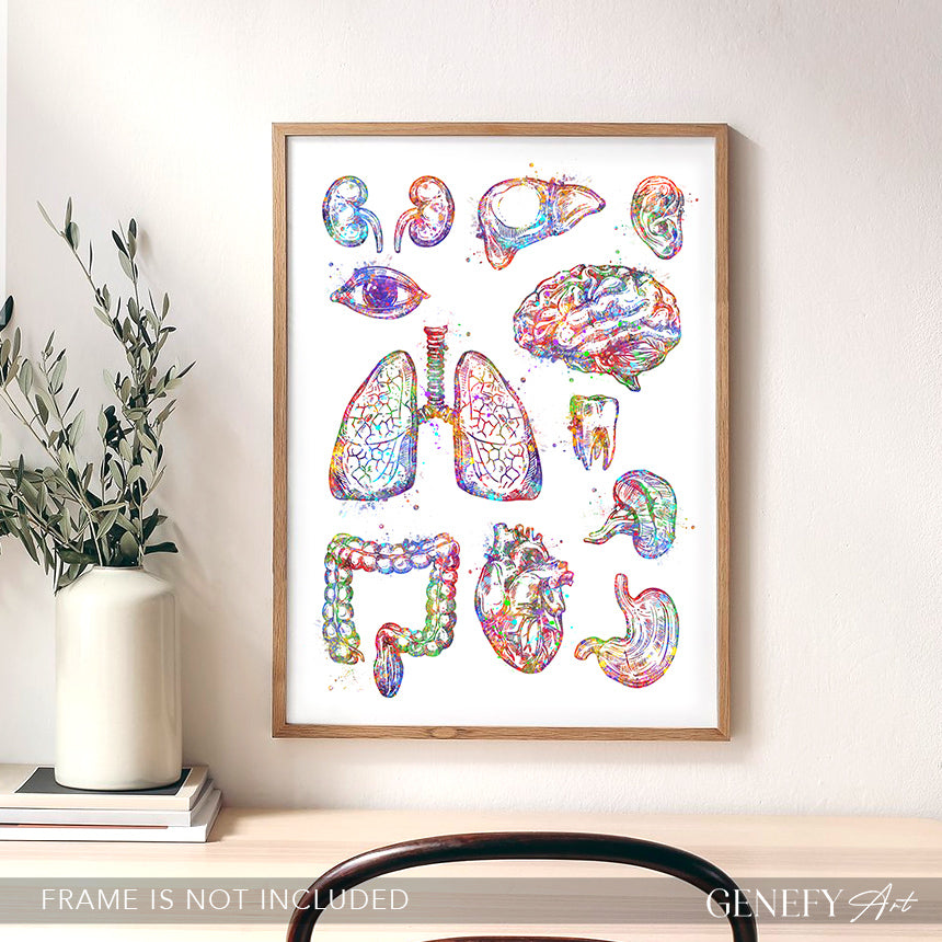 Human Organs Anatomy Watercolour Print