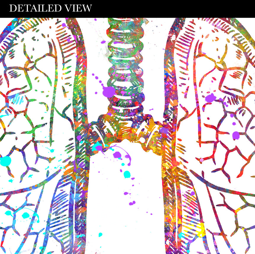 Human Organs Anatomy Watercolour Print