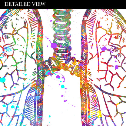 Human Organs Anatomy Watercolour Print