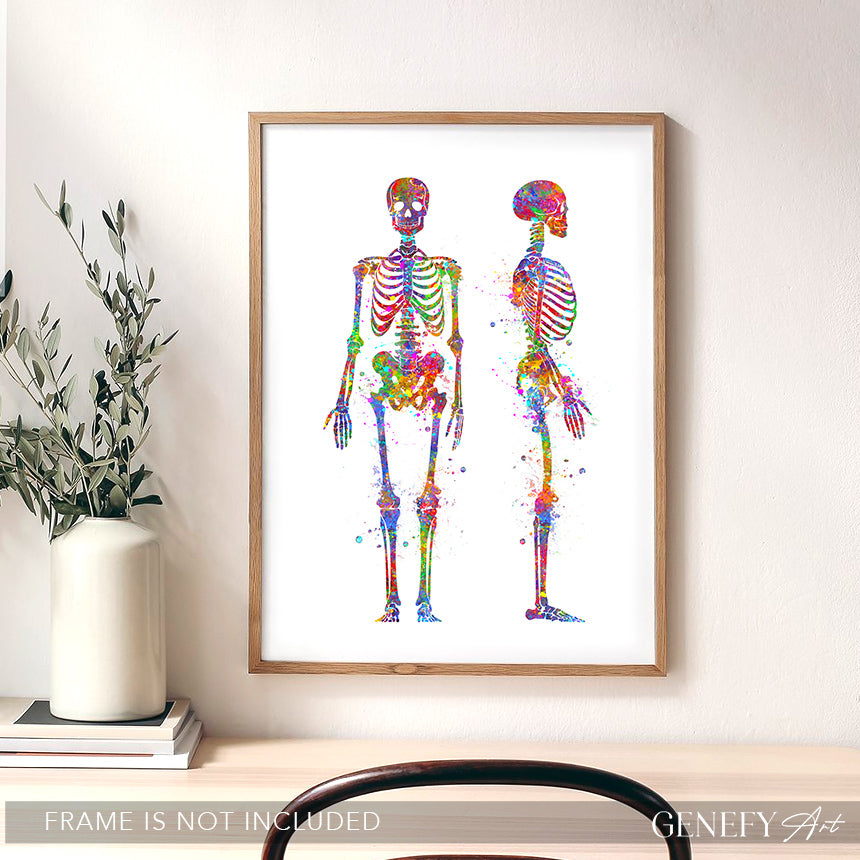 Human Skeletal System Anatomy Watercolour Print