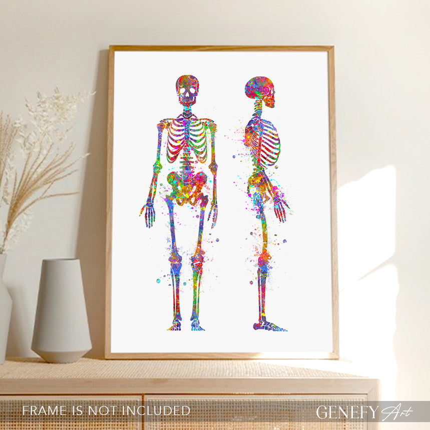 Human Skeletal System Anatomy Watercolour Print