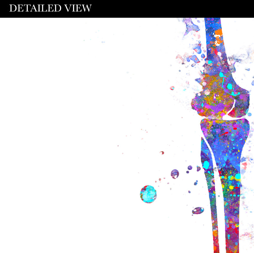 Human Skeletal System Anatomy Watercolour Print