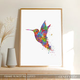 Hummingbird Watercolour Print - Genefy Art