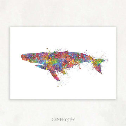 Humpback Whale Watercolour Print