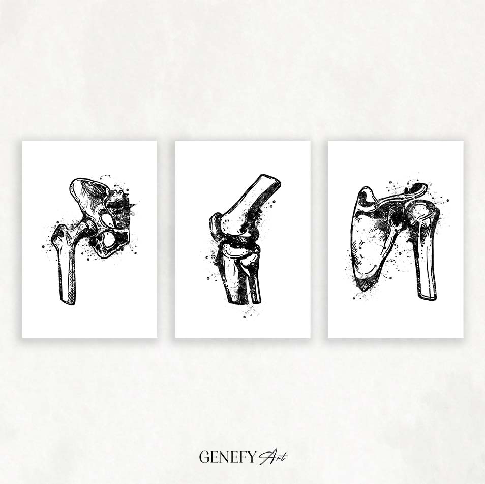Hip Joint, Knee, Shoulder Bone Black and White Watercolour Print